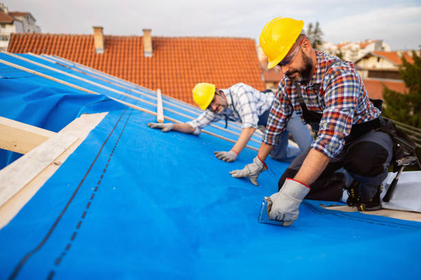 Best Green or Eco-Friendly Roofing Solutions  in Trinity, NC